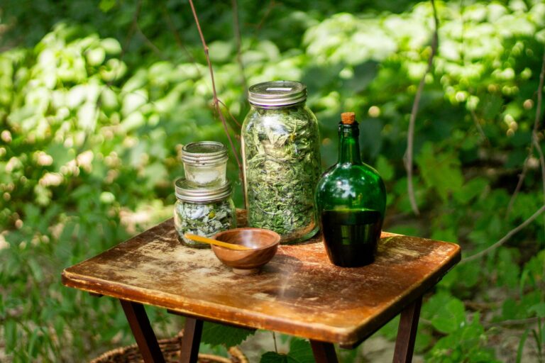 The Role of Herbs in Witchcraft: Uses, Meanings, and Cultivation  - WitchcraftForBeginners