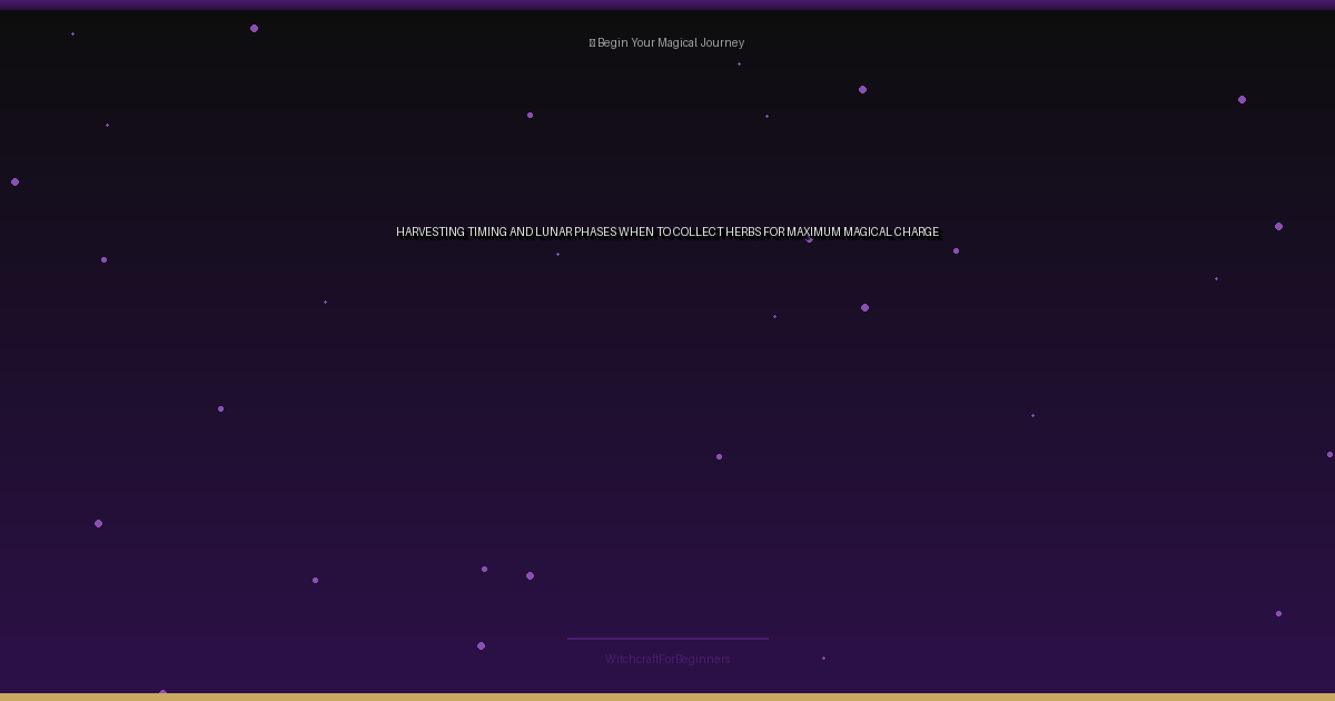 Harvesting Timing and Lunar Phases: When to Collect Herbs for Maximum Magical Charge