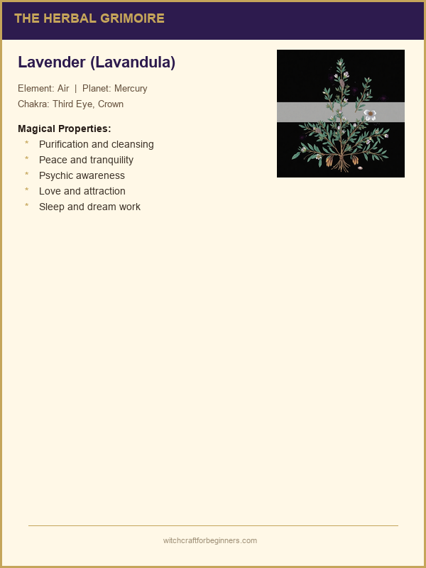 Sample herb profile page from the course PDF