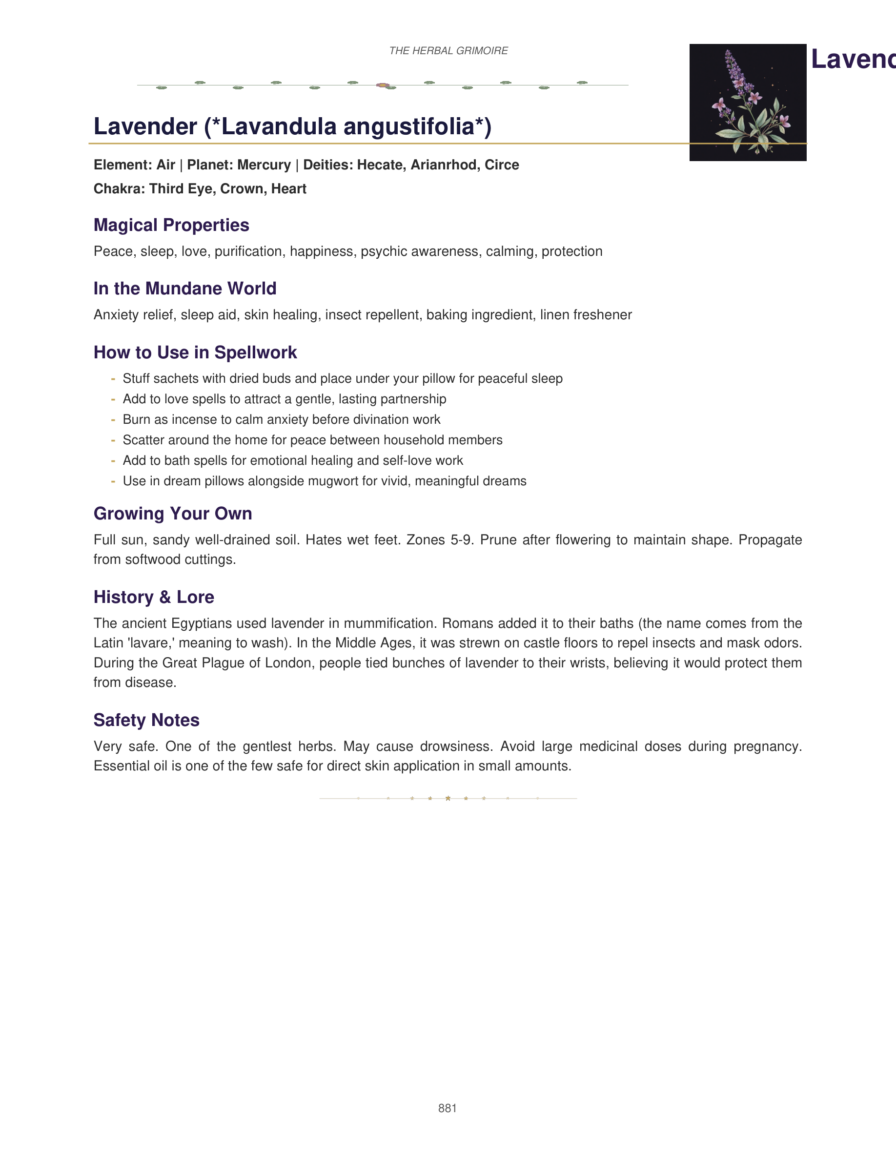 Lavender — The Herbal Grimoire
