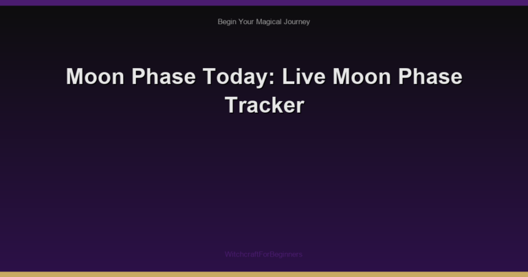 Moon Phase Today: Live Moon Phase Tracker