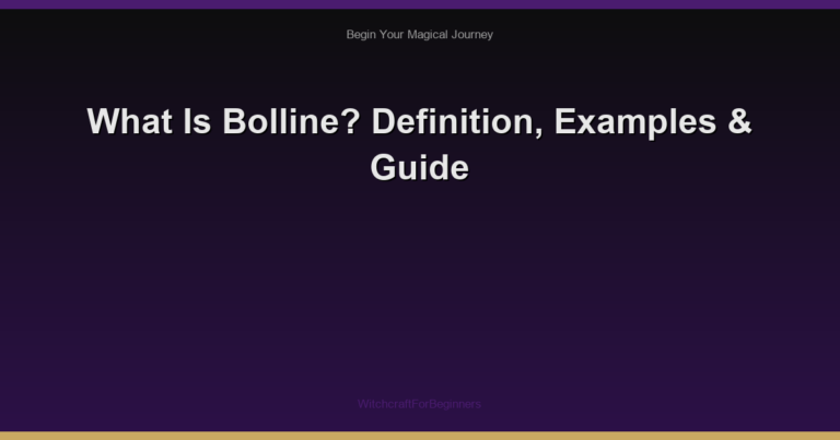 What Is Bolline? Definition, Examples & Guide