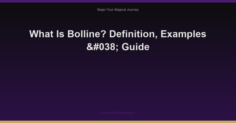 What Is Bolline? Definition, Examples & Guide